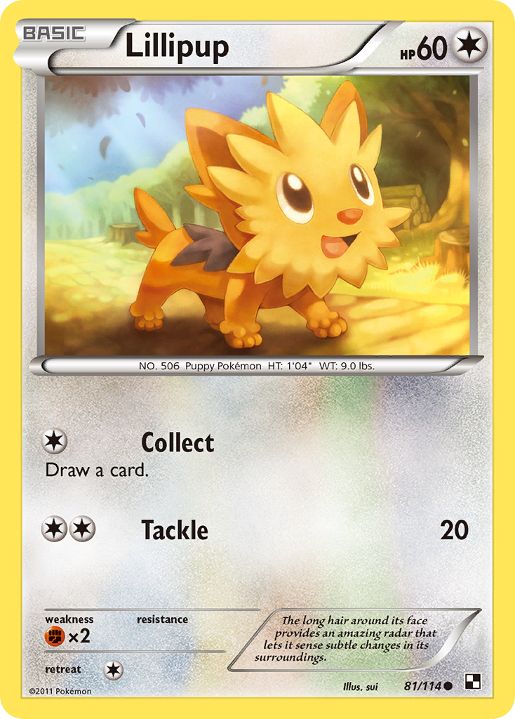 Lillipup 81 / 114