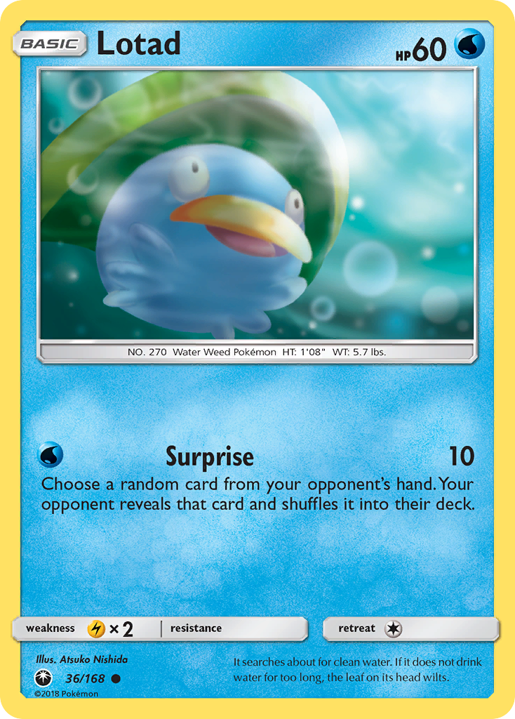 Lotad 36 / 168