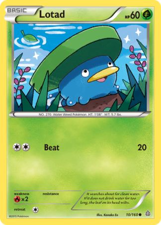 Lotad 10 / 160