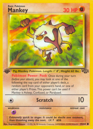 Mankey 55 / 64