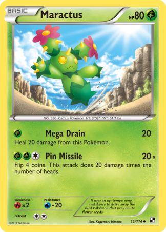 Maractus 11 / 114