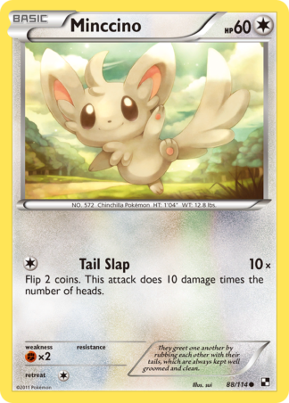 Minccino 88 / 114