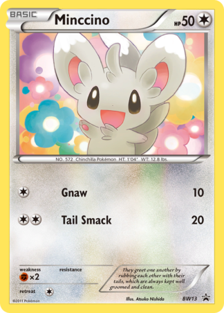 Minccino BW13 / 101