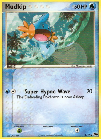 Mudkip 11 / 17