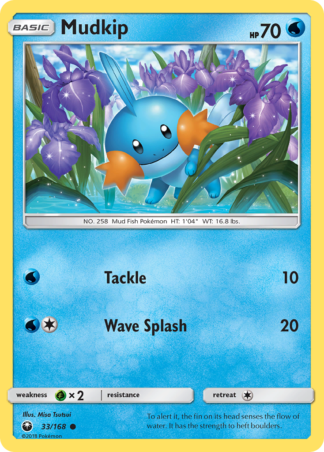 Mudkip 33 / 168