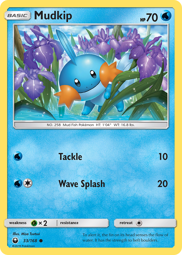 Mudkip 33 / 168