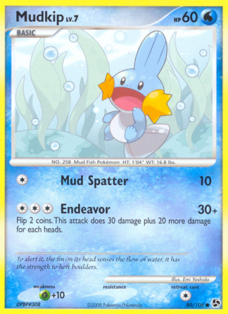 Mudkip 80 / 106
