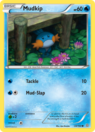 Mudkip 33 / 160