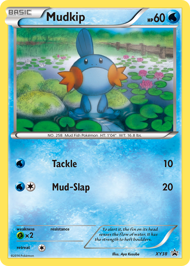 Mudkip XY38 / 211