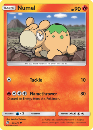 Numel 23 / 236