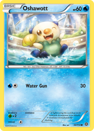 Oshawott 30 / 114