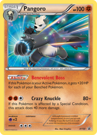 Pangoro XY50 / 211