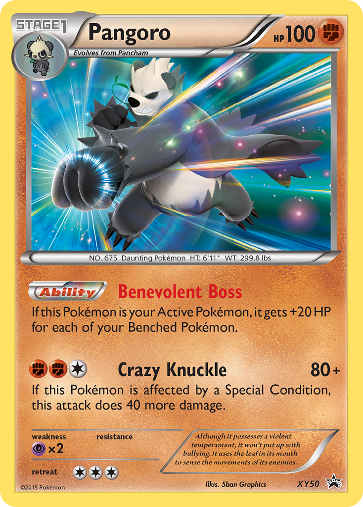 Pangoro XY50 / 211