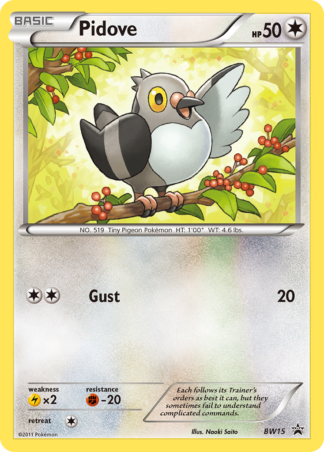 Pidove BW15 / 101