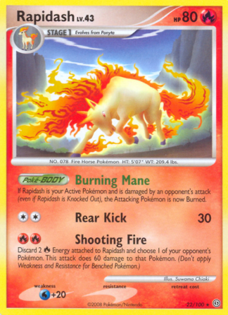 Rapidash 22 / 100
