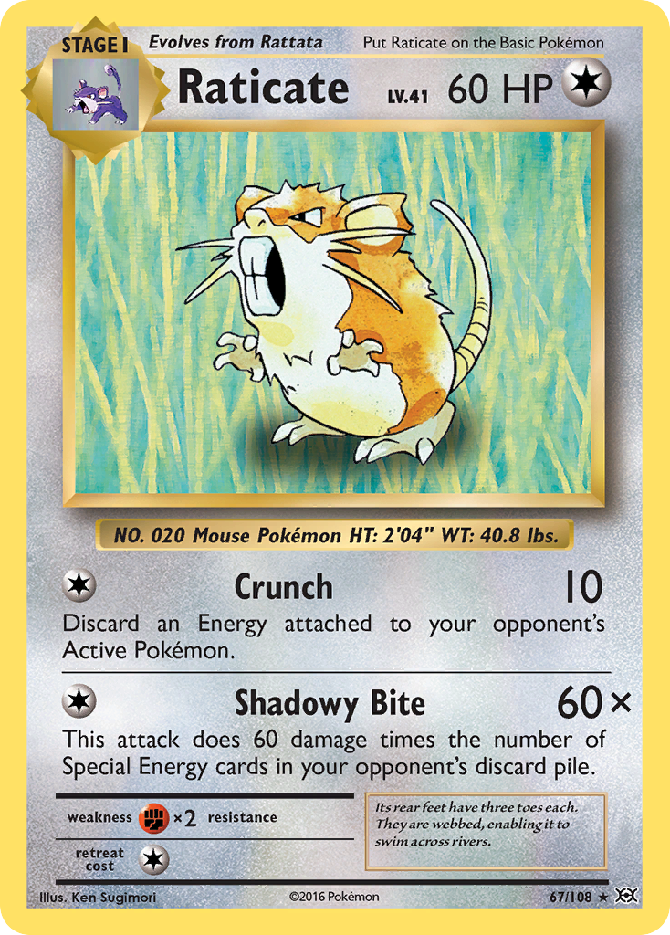 Raticate 67 / 108