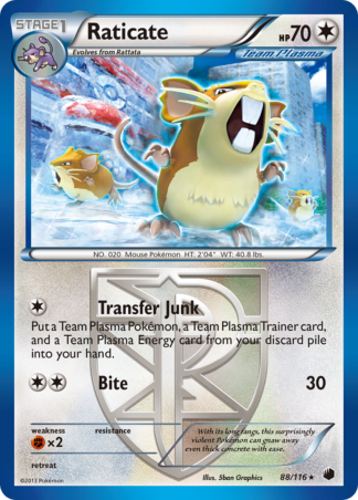 Raticate 88 / 116