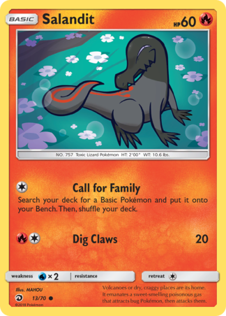 Salandit 13 / 70