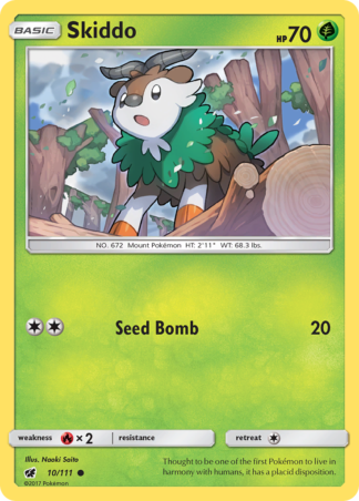 Skiddo 10 / 111
