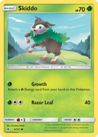 Skiddo 9 / 131
