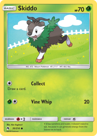 Skiddo 35 / 214