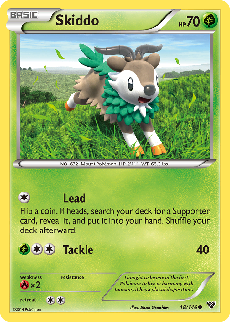 Skiddo 18 / 146
