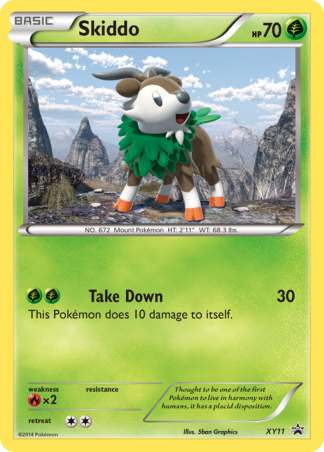 Skiddo XY11 / 211