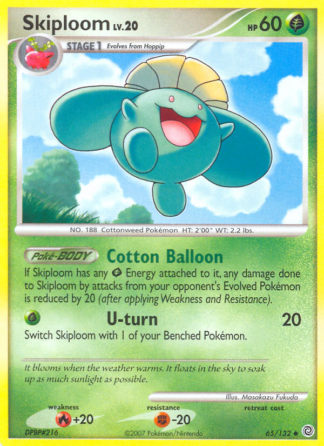 Skiploom 65 / 132