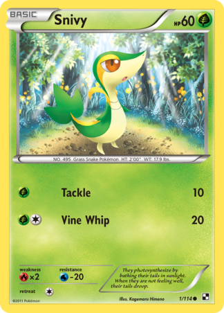 Snivy 1 / 114