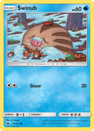 Swinub 19 / 111