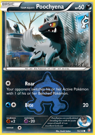 Team Aqua's Poochyena 16 / 34