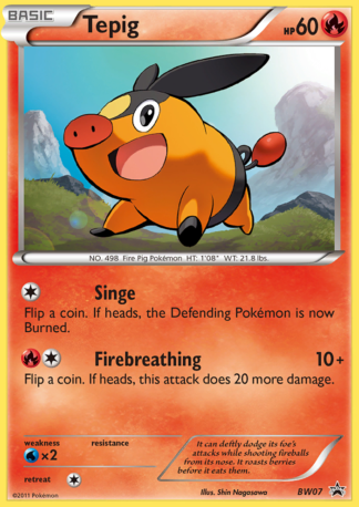 Tepig BW07 / 101