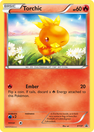 Torchic XY37 / 211