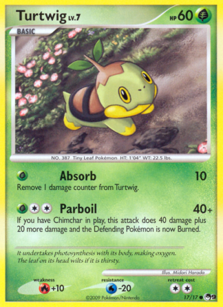 Turtwig 17 / 17