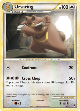 Ursaring 37 / 95