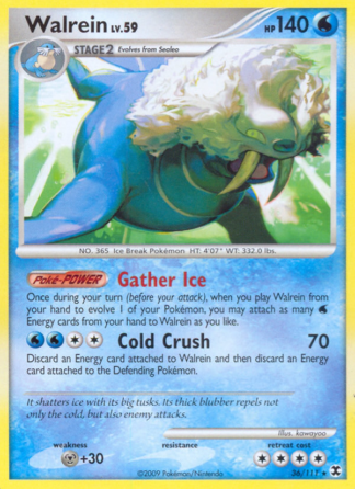 Walrein 36 / 111
