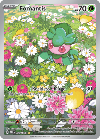 Fomantis 85 / 0